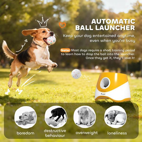Pet Automatic Ball Launcher
