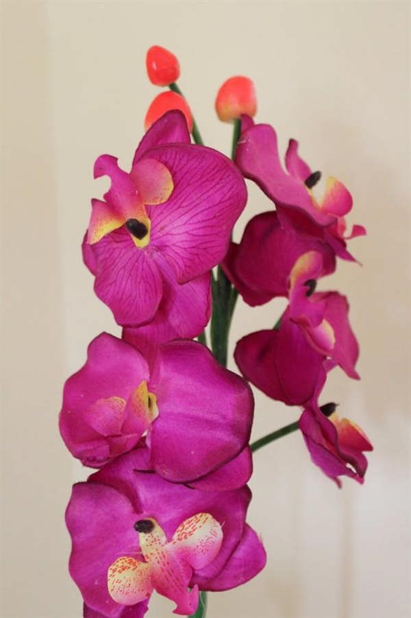 1m Tall Artificial Orchid Plant in Weighted 5" Pot with Moss Base, 11 Flowers and 6 Buds, Realistic Finish for Home or Office, Low Light Friendly