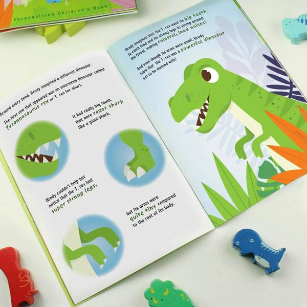 Personalised Dinosaur Adventure Story Book - product in use