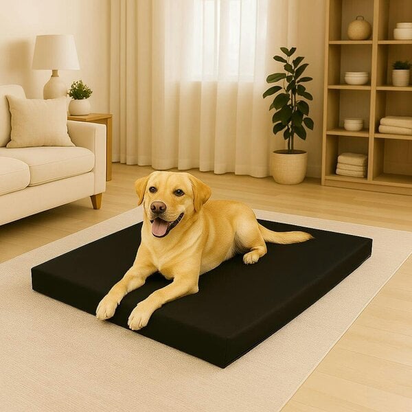 Night Zone Waterproof Pet Mat for Dogs & Cats – Washable Polyester Crate & Car Seat Mat - Black
