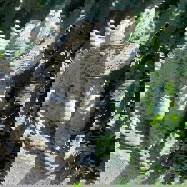 Mystical  Oriental Dragon Stone Cast  Statue Garden Ornament