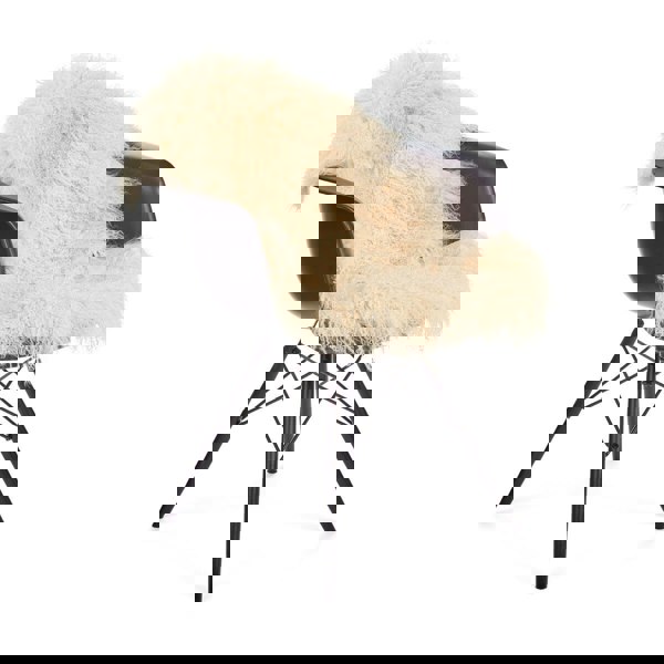 Curly Sheepskin | Tibetan | 85x50 cm Light Honey