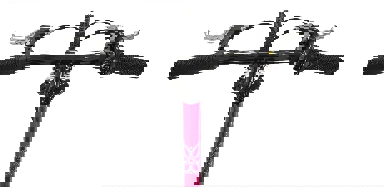 Dawes 20" Paris HT Kids Mountain Bike