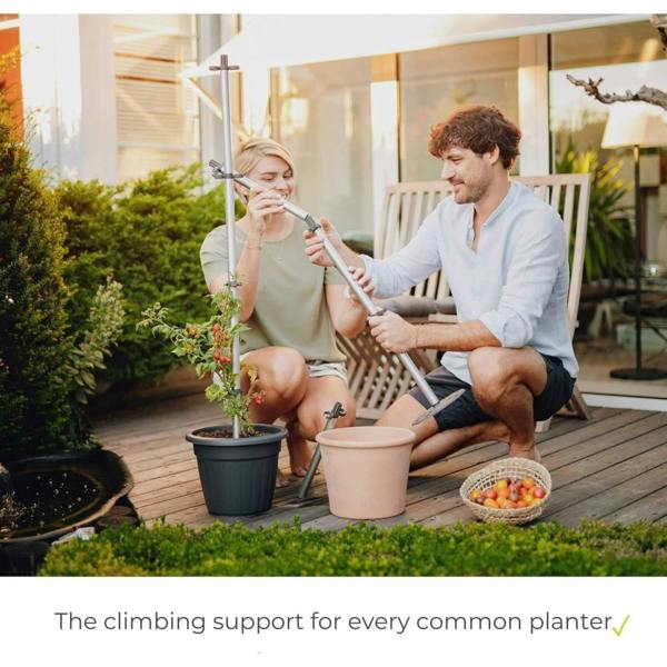 TOMATO BUDDY climbing support for every planter