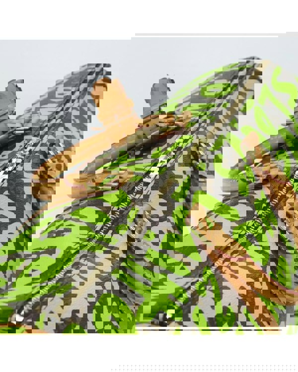193980157.jpg