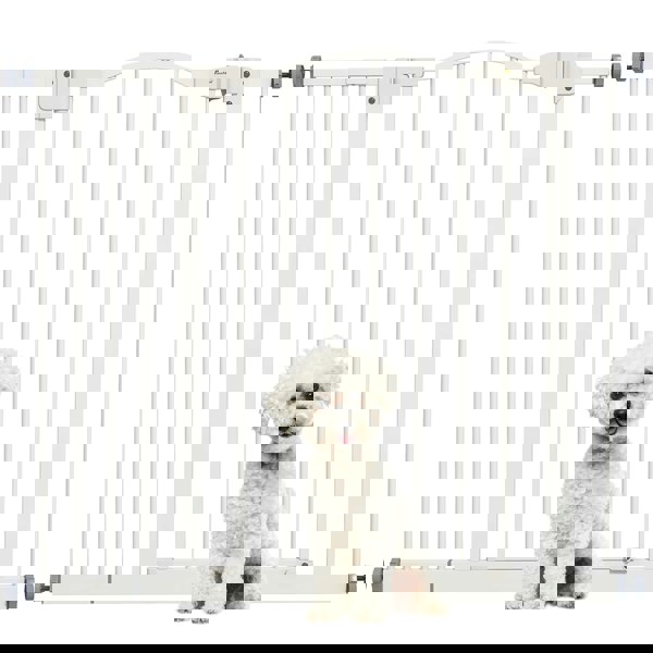D06-094V06WT
