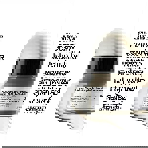 L'Oréal Professionnel&nbsp; Absolut Repair Molecular Mask