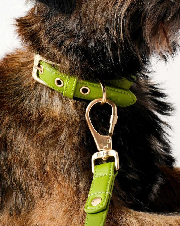 Barc London Wasabi Green Dog Collar
