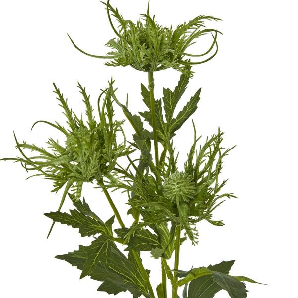 Wyld Haus Set of 3 Artificial Flowers Green Sea Holly Sprays