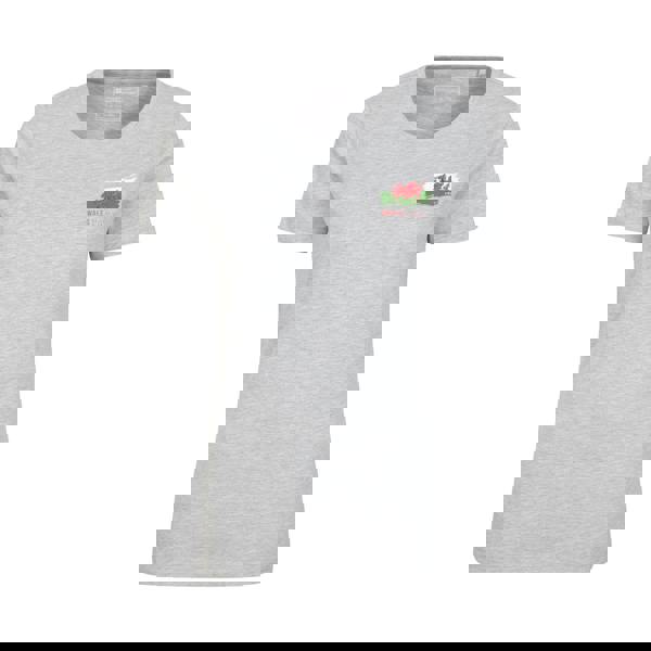 Mountain Warehouse Womens/Ladies Wales T-Shirt - Grey