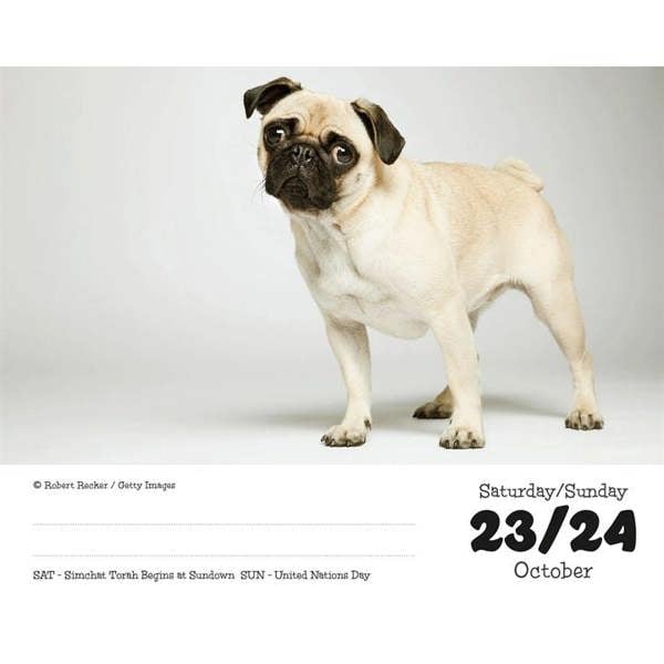 Pugs Desk Calendar 2027, Desk Calendars, Day To View, Dogs, Gift