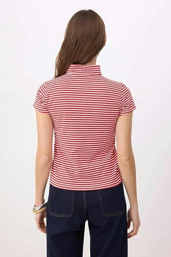 Striped Regular Fit Keyhole Neck Short Sleeve Cotton Knit Blouse