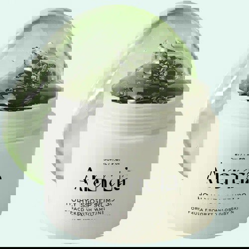 ARENCIA Holy Hyssop Serum 30 50g
