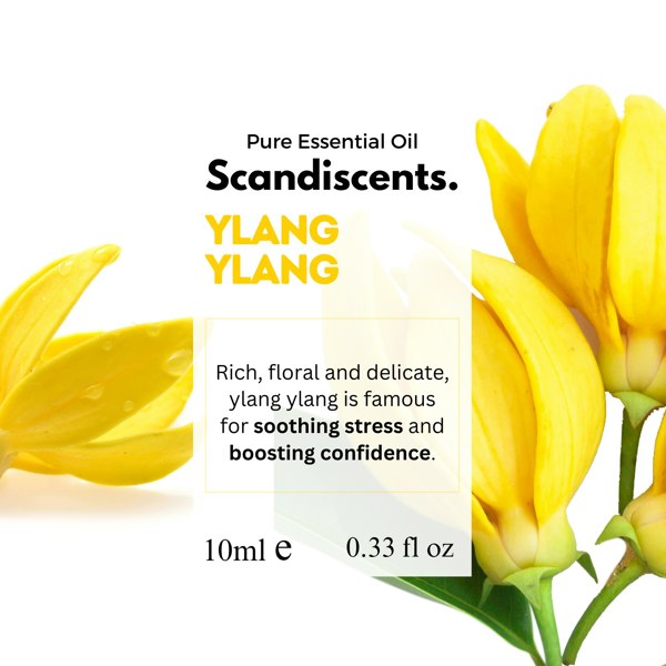 Ylang Ylang - Scandiscents, waterless diffuser, essential oils, fragrance oils