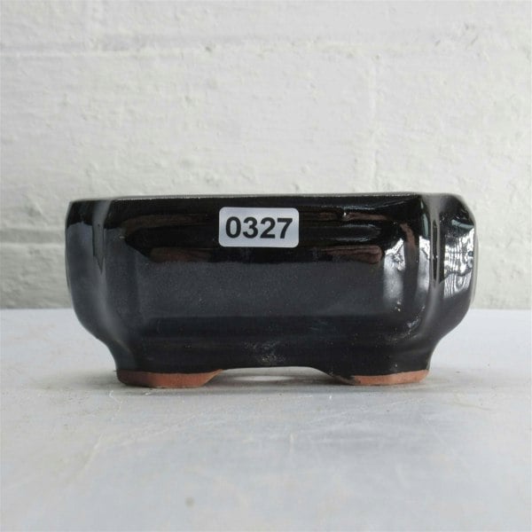 11cm Glazed Bonsai Pot | Rectangle | 11cm x 8cm x 5cm | Black - Yorkshire Bonsai