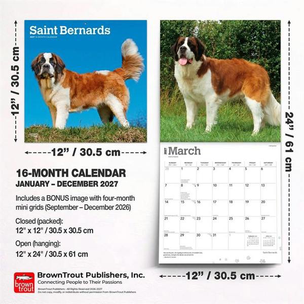 Saint Bernards Calendar 2027, Wall Calendars, Month To View, Dogs, Gift