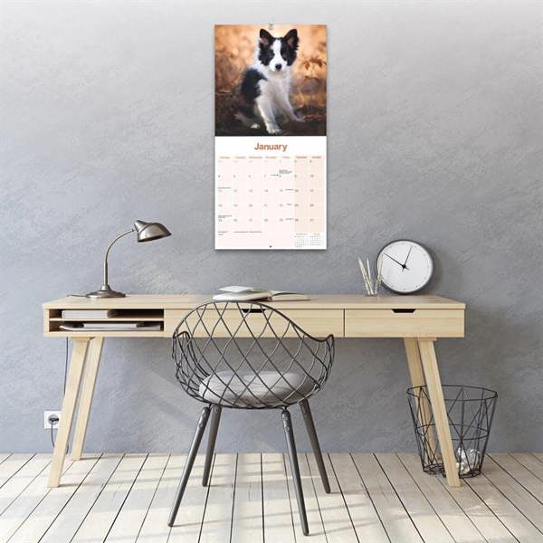 Border Collie Calendar 2027, Wall Calendars, Month To View, Dogs, Gift