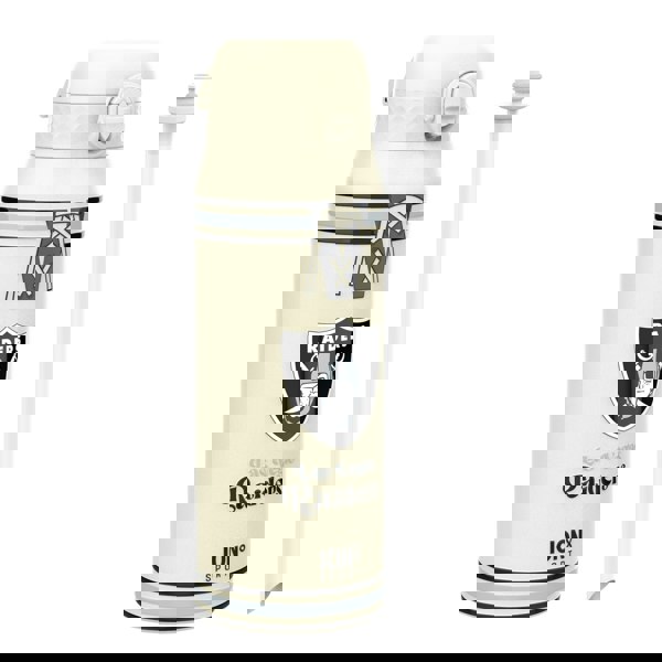 ION8 NFL x ION8 Insulated Steel Water Bottle, NFL Raiders, 750ml (24oz)