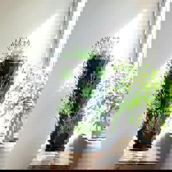 Nicoman Garden Central Multy Home 5-Tier Stackable Planter