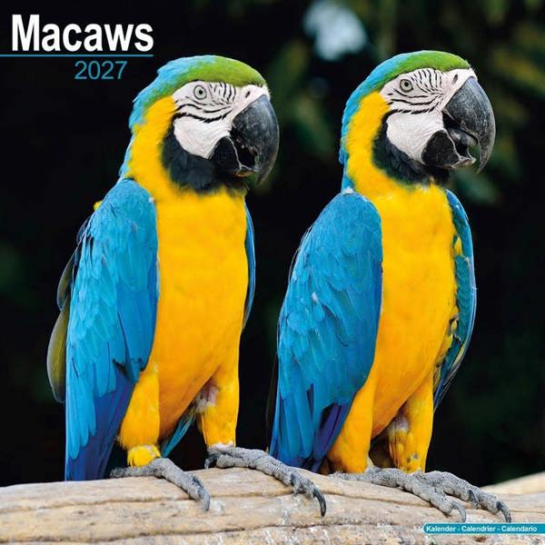 Macaws Calendar 2027, Wall Calendars, Month To View, Animals, Gift