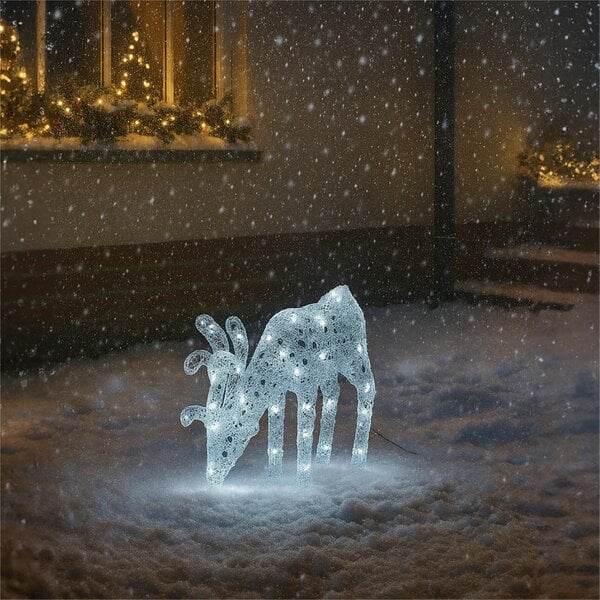 Scotts of Stow Xmas Haus 60CM Acrylic LED Deer Christmas Holiday Festive Decoration