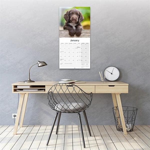 Sprocker Spaniel Calendar 2027, Wall Calendars, Month To View, Dogs, Gift
