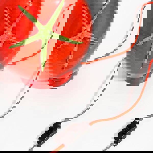 Love Frankie Tomato Lamp - Pendant or Table Lamp