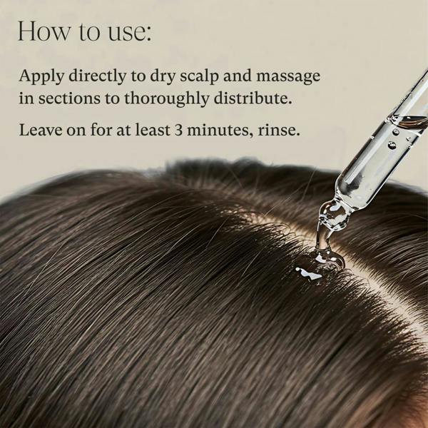L'Anza Scalp Therapy Balancing Pre-Wash Oil 100ml