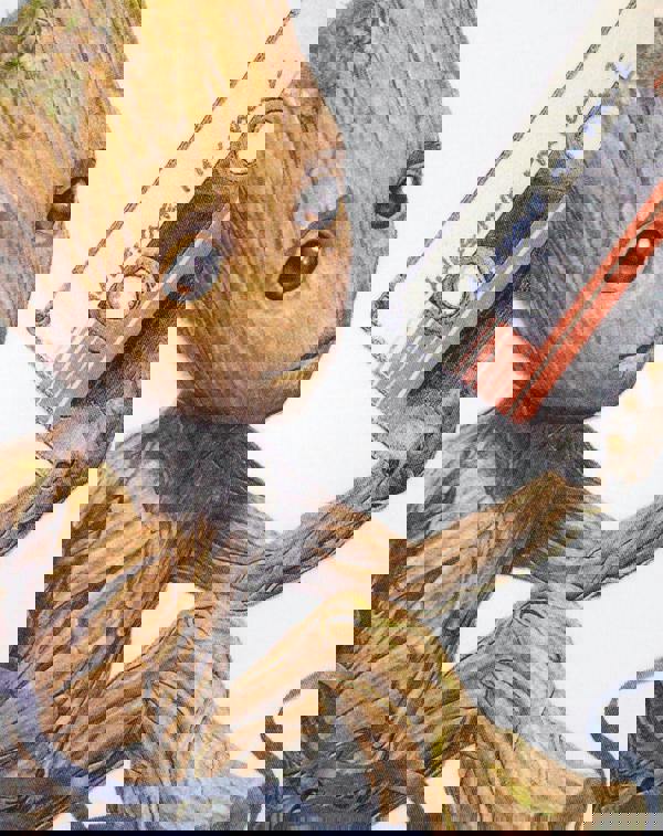 Marvel Mens White Groot Short Sleeved T-Shirt