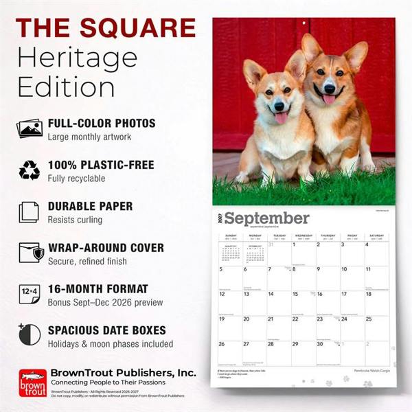 Pembroke Welsh Corgis Calendar 2027, Wall Calendars, Month To View, Dogs, Gift