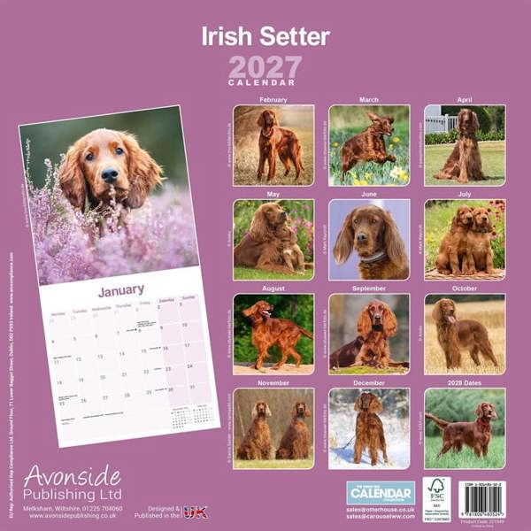 Irish Setter Calendar 2027, Wall Calendars, Month To View, Dogs, Gift