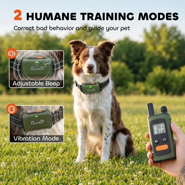 Dog Shock Collar
