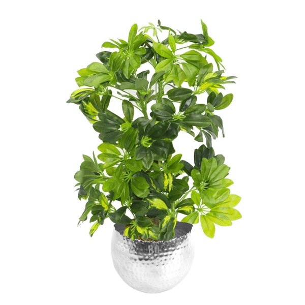 Leaf 75cm Artificial Arboricola Gold Capella Plant - Silver Metal Planter