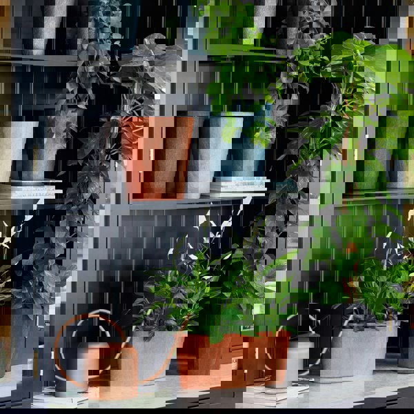 #color_copper