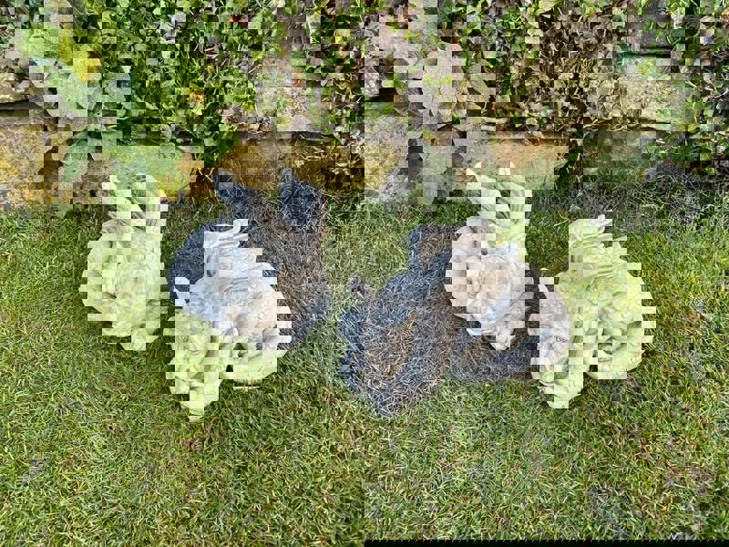 Pair of Small Laying Dragons Sculptures