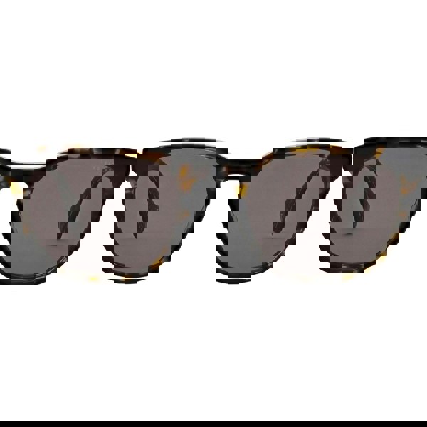 Ted Baker Sorley Men's Sunglasses