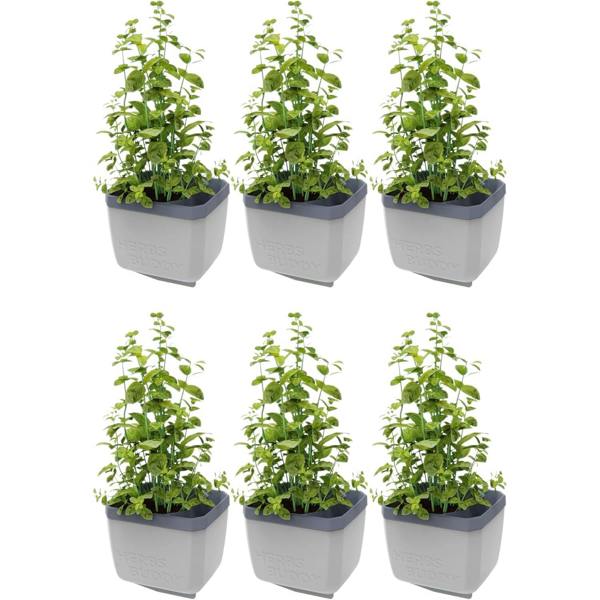 HERBS BUDDY herb pot with water reservoir - Light Grey
