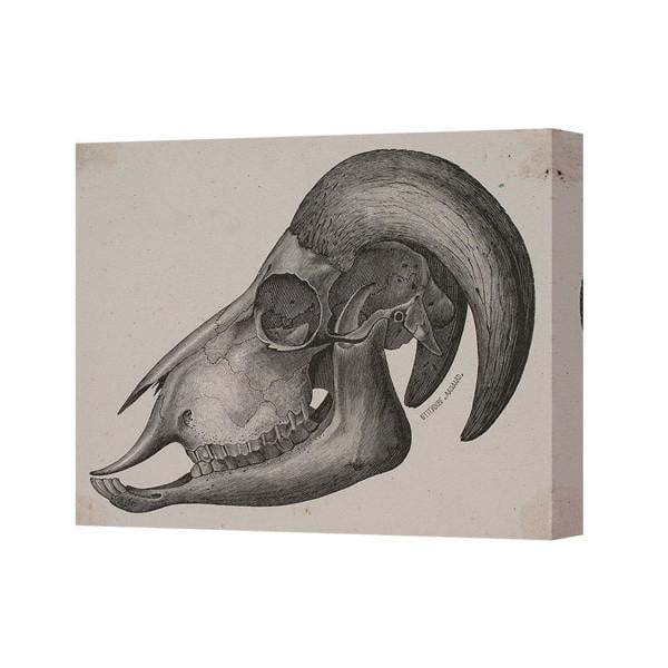 Benjamin Tate Design Vintage Ram Skull Canvas Wall Art Print For Rustic Home Decor