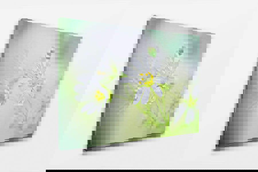 floral wall art printed on premium canvas