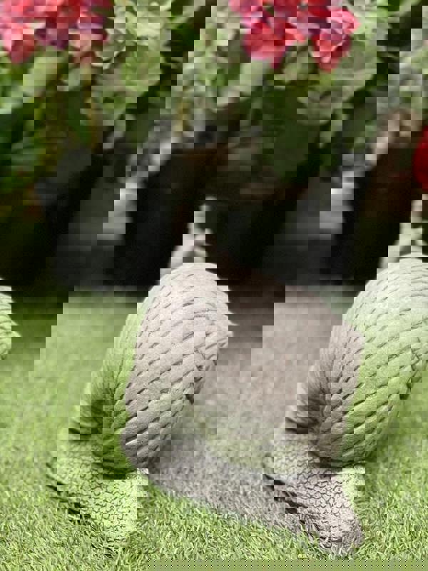 Small Stone Cast Snail Garden Ornament