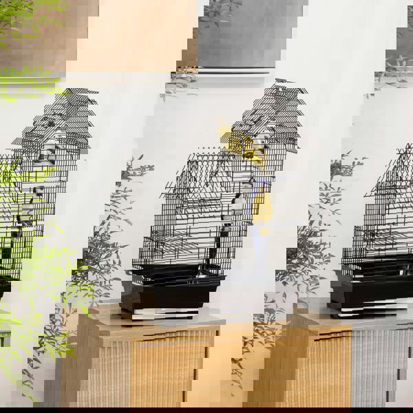 D10-063V01BK