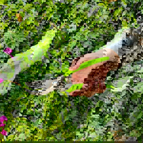 Gr8 Garden Set Of 3 Garden Tools Lopper Shears Secateurs Hedge Tree Cutter Pruning Trimmer