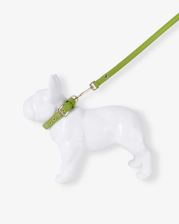 Barc London Wasabi Green Dog Collar