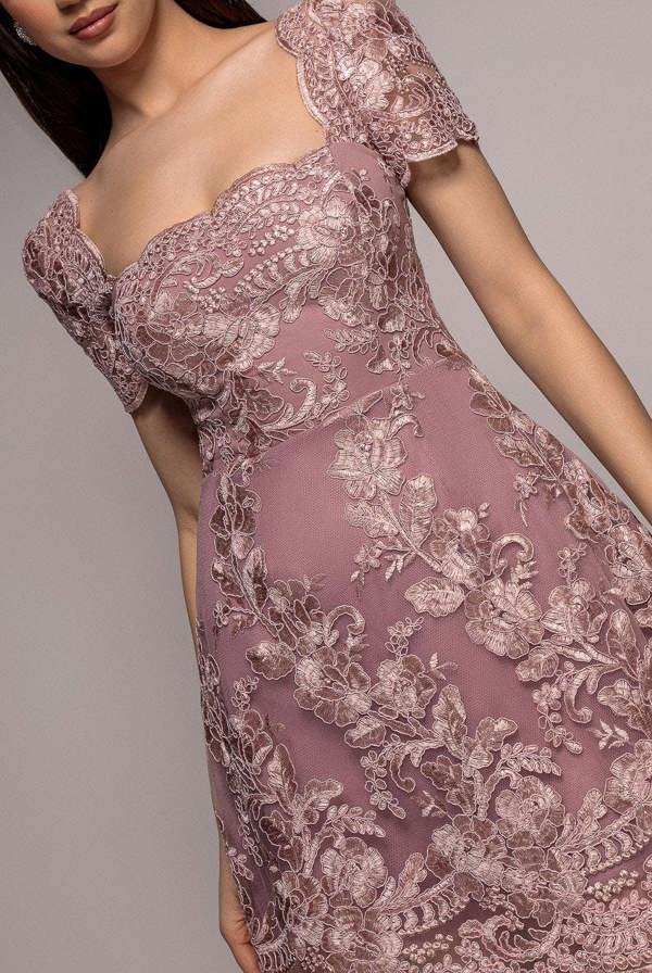 Scallop Edge Corset Back Structured Lace Mini Dress - Pink DR4966