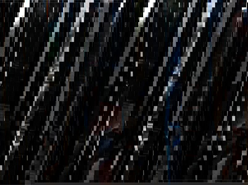 Cheetah Metallic Tinsel Curtain, 3M x 1M Black