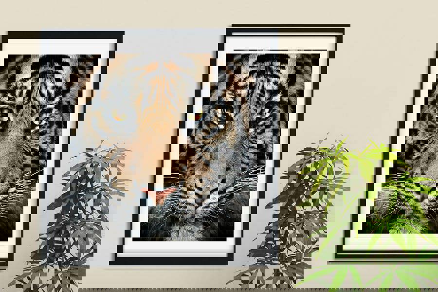 Tiger eyes portrait print on canvas