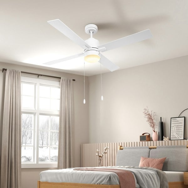 Ceiling Fan With Light