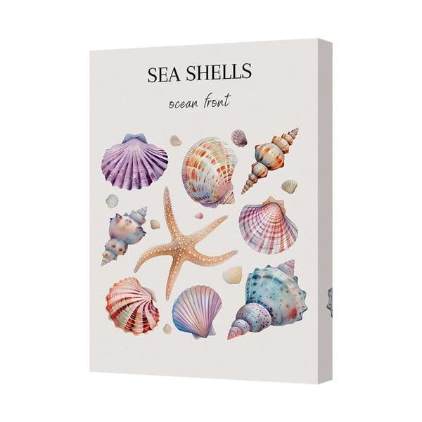 Benjamin Tate Design Sea Shells Canvas Print Ocean Front Wall Art For Living Room