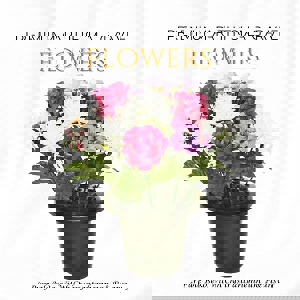 Memorials Direct Premium Artificial Grave Flowers – 25cm Purple Rose With Chrysanthemum & Pansy | Memorial Vase Pot