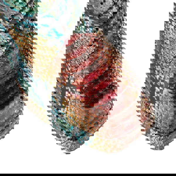 Embassy London Roulette Platform - Green & Brown Snake - Women's leather oxford pump with platform and block heel